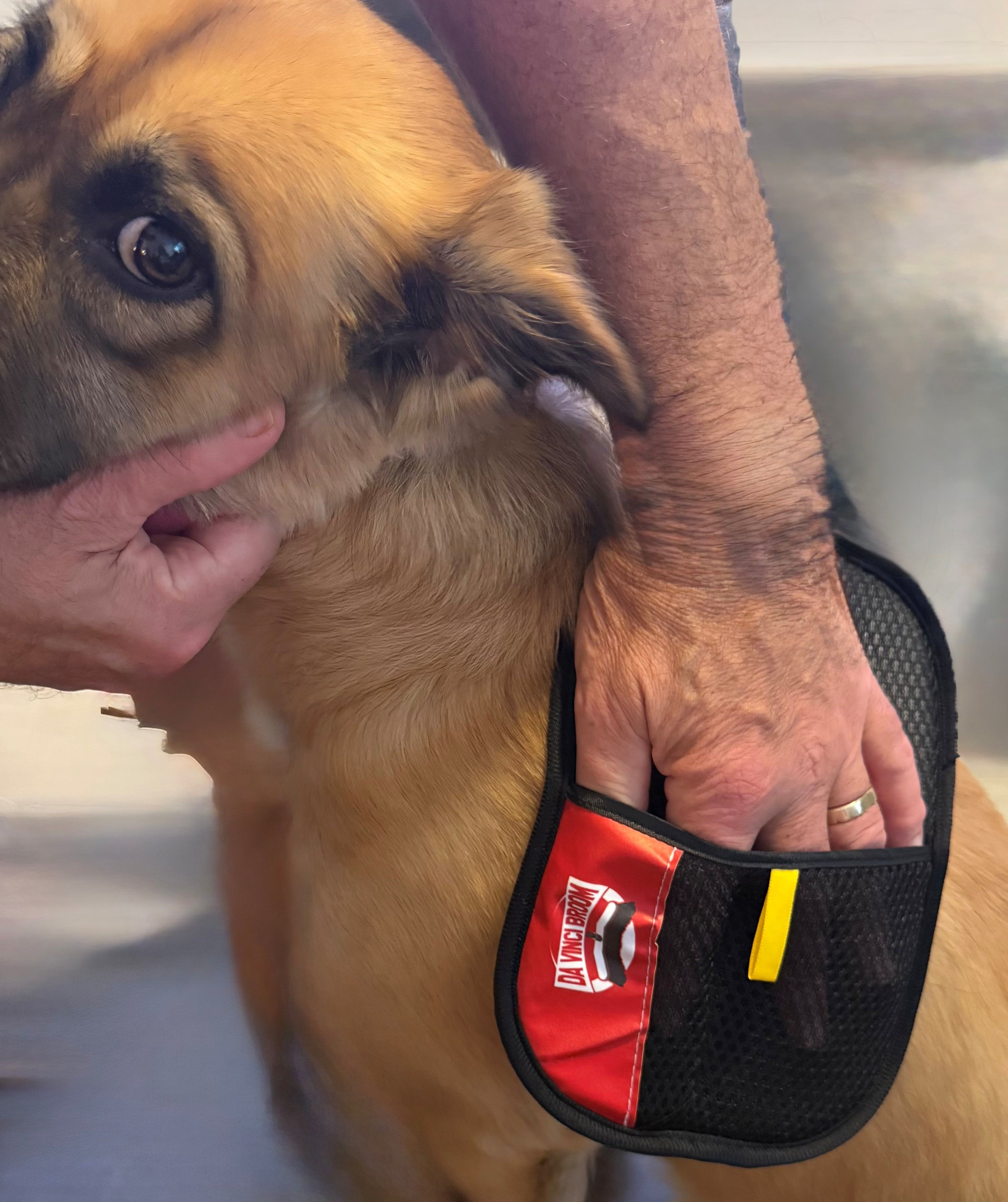 Da Vinci Easy Sweep Glove