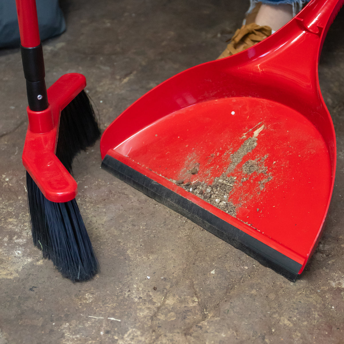 Da Vinci House Broom with Oversized Dustpan