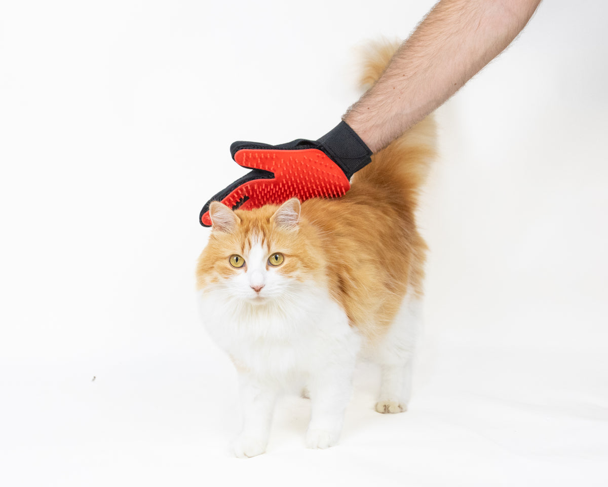 Da Vinci Deshedding Glove for Dogs & Cats