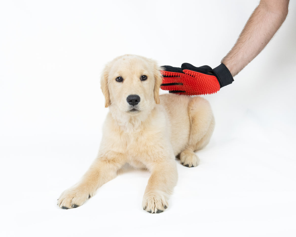 Da Vinci Deshedding Glove for Dogs & Cats